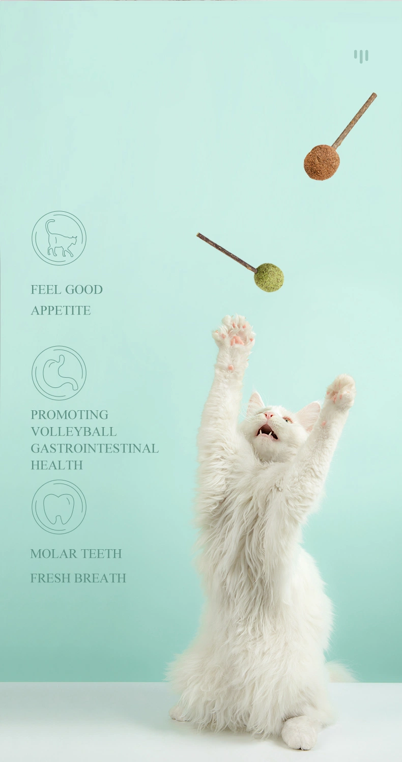 Animal Products Pet Supplies Snacks Catnip Lollipops